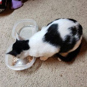 Meet your Posher, Cheryl